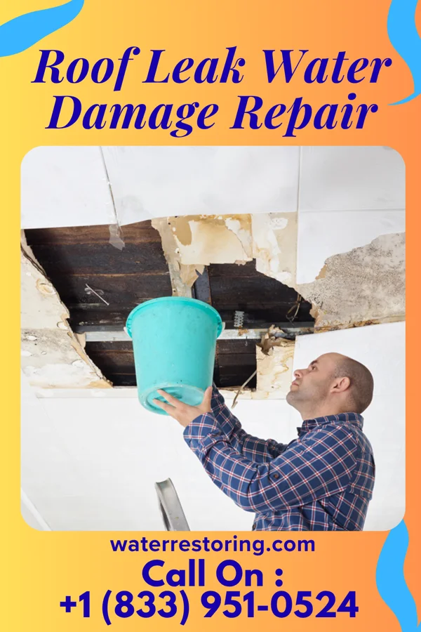 Roof Leak Water Damage Repair in Belle Isle, FL